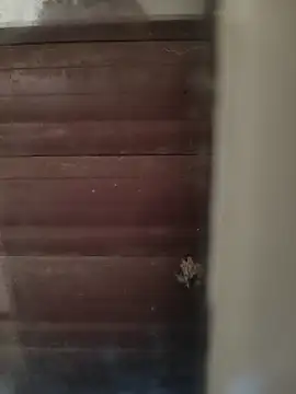 hardgetsex online show from 10.04.25