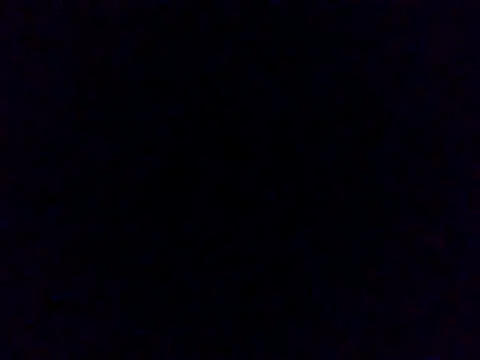 Wynni online show from 05.03.26