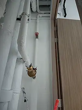 Snapshot of 2tomka52052sex chatting on 01.08.25 2tomka52052sex online show from 01.08.25