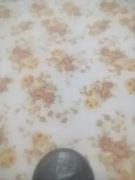 Working- online show from 01.19.26