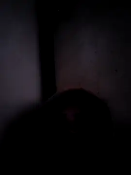 ListedLoin online show from 03.17.26