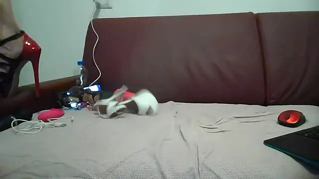 Danielasexy74 online show from 11.14.25