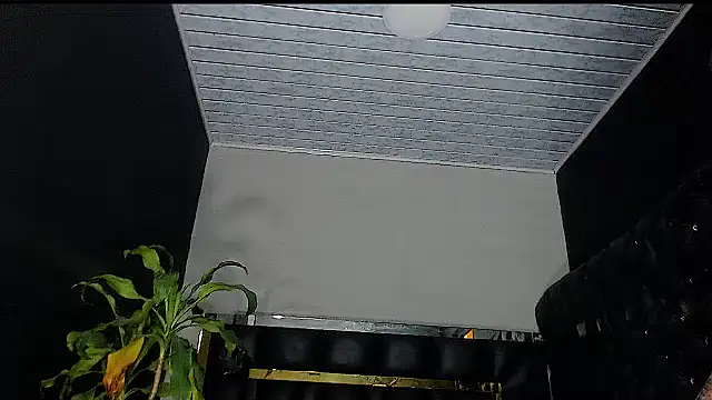 Kitie Petarda online show from 10.19.25