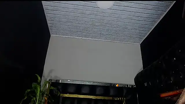 Kitie Petarda online show from 10.23.25