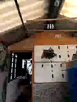 Snapshot of rebekka_simpson chatting on 03.09.25 rebekka simpson online show from 03.09.25