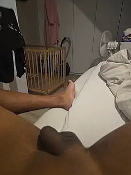 brons online show from 10.23.25