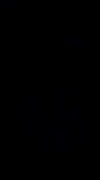 savhorseridecwby online show from 12.20.24