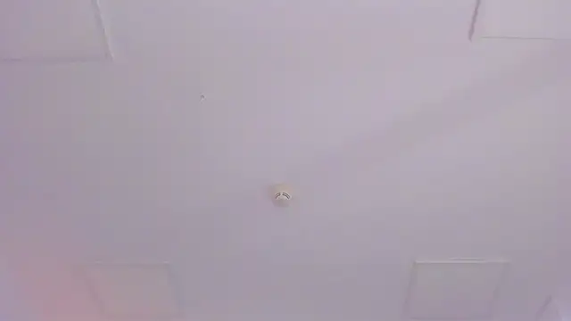 JassyeJoy online show from 01.07.26