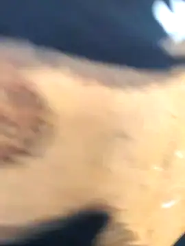 Snapshot of martinna_tay chatting on 03.01.26 martinna tay online show from 03.01.26