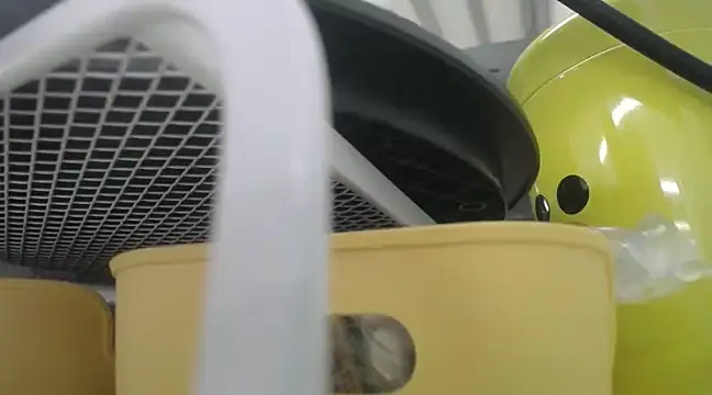 Snapshot of Lovensetest chatting on 12.19.24 Lovensetest online show from 12.19.24