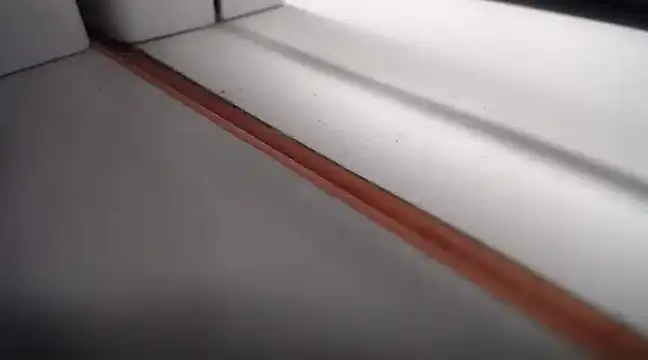 Snapshot of Lovensetest chatting on 02.24.25 Lovensetest online show from 02.24.25