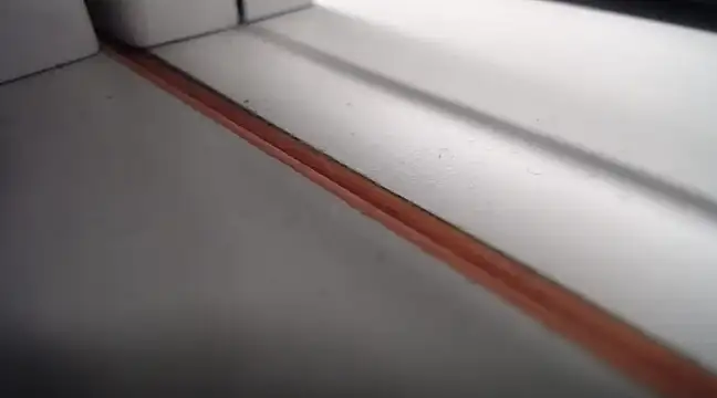 Snapshot of Lovensetest chatting on 02.24.25 Lovensetest online show from 02.24.25