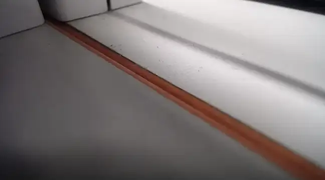 Snapshot of Lovensetest chatting on 02.24.25 Lovensetest online show from 02.24.25