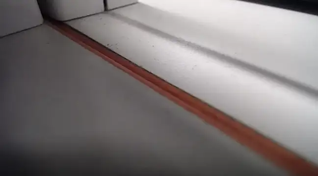 Snapshot of Lovensetest chatting on 02.25.25 Lovensetest online show from 02.25.25