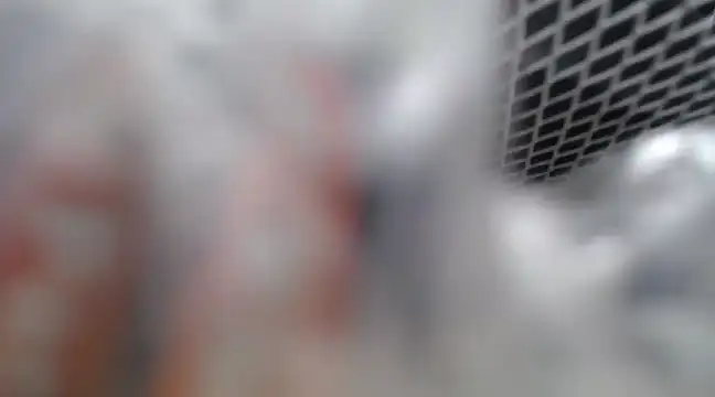 Snapshot of Lovensetest chatting on 02.26.25 Lovensetest online show from 02.26.25