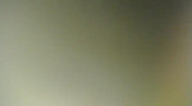 Snapshot of Lovensetest chatting on 03.11.25 Lovensetest online show from 03.11.25