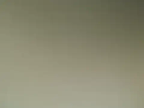 Snapshot of Lovensetest chatting on 03.13.25 Lovensetest online show from 03.13.25