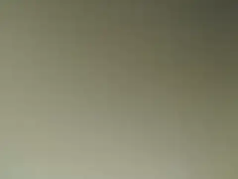 Snapshot of Lovensetest chatting on 03.14.25 Lovensetest online show from 03.14.25