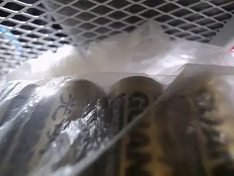 Snapshot of Lovensetest chatting on 09.30.25 Lovensetest online show from 09.30.25