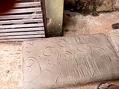 Snapshot of wel9238 chatting on 02.25.26 wel9238 online show from 02.25.26