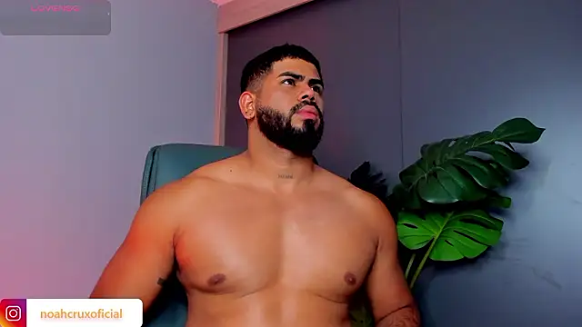 noah crux online show from 02.16.26