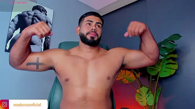 noah crux online show from 03.19.26