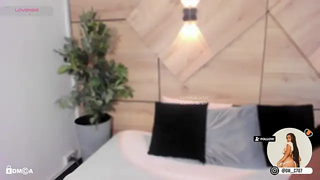 Snapshot of GemmaCarter_ chatting on 01.29.25 GemmaCarter online show from 01.29.25