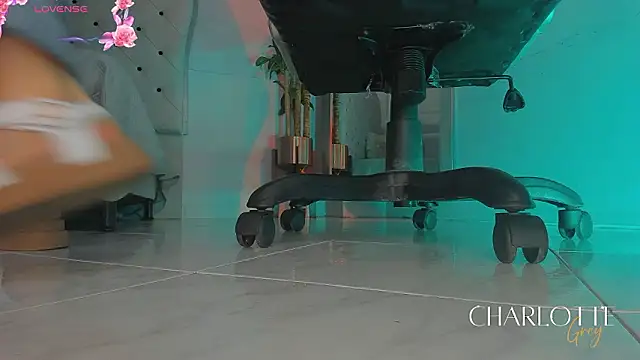 charlotte  grey online show from 02.20.26