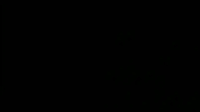 SensualJane2 online show from 01.05.25