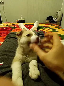 arenn1997 online show from 01.10.26