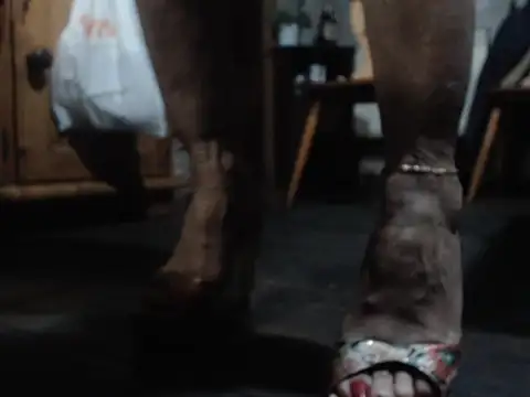 Snapshot of eva2023sexy chatting on 02.05.26 eva2023sexy online show from 02.05.26