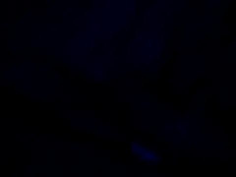 Vinyboy69 online show from 11.08.25