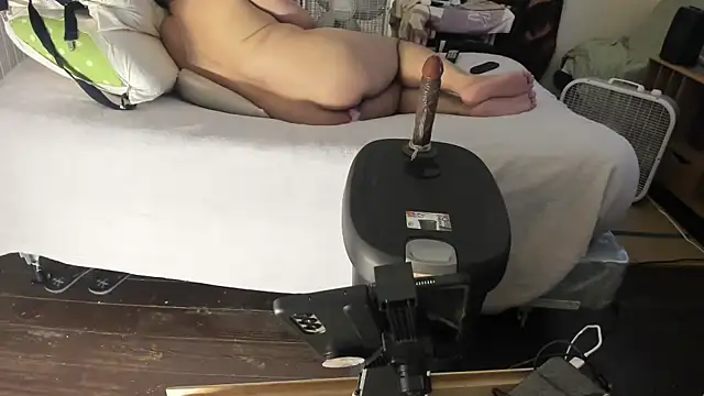 poyabig online show from 01.01.25