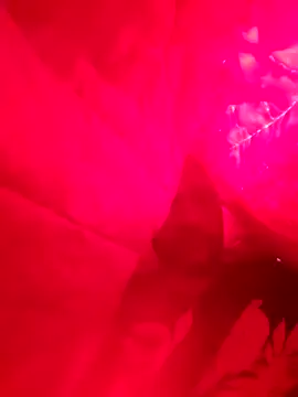 Snapshot of Lord-Sloppy chatting on 12.07.24 Lord-Sloppy online show from 12.07.24