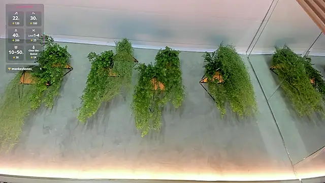 Lana Lann online show from 09.22.25