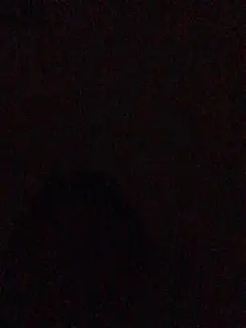 hoot07089 online show from 12.13.24