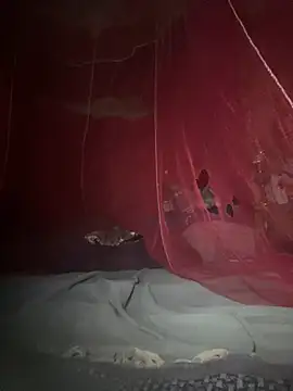 amy gata online show from 02.17.26