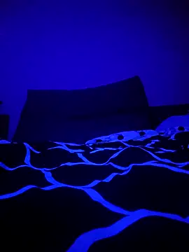 McdyllanXX online show from 01.11.25