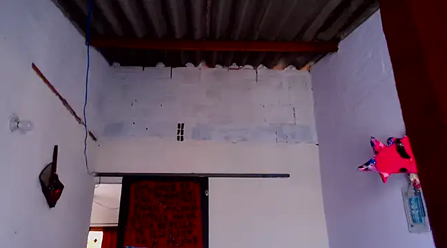 Zafiro subversiva online show from 02.03.25