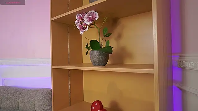 Anybuny online show from 11.07.25