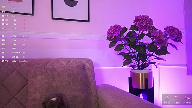 Anybuny online show from 02.04.26