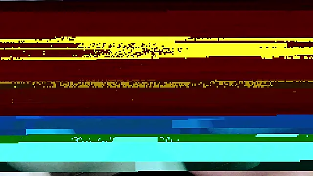 Terry Bogardd online show from 06.09.26