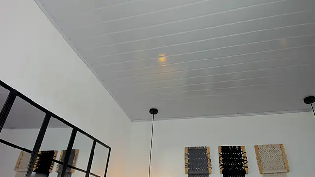 Sweet camille online show from 01.12.26