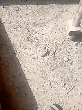 Kurtsikicixh online show from 10.21.25