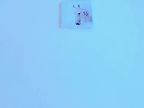 silvano torres online show from 02.02.26