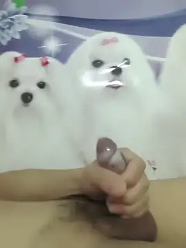 Snapshot of 826687 chatting on 03.02.26 826687 online show from 03.02.26