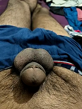 PAWARXX 0 online show from 10.14.25