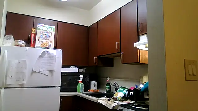 DreamvilleINC online show from 11.02.25