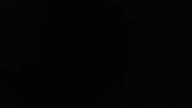 Snapshot of Liaroberts1 chatting on 01.24.25 Liaroberts1 online show from 01.24.25