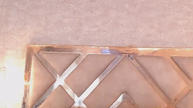 Snapshot of JoannaStanford chatting on 03.19.25 JoannaStanford online show from 03.19.25